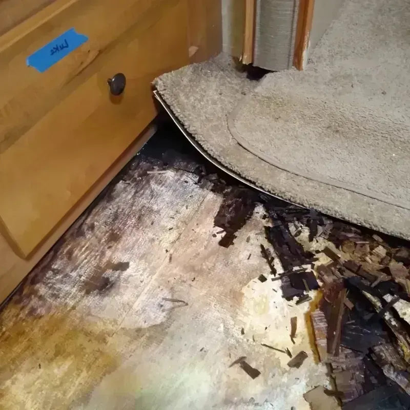 Wood Floor Water Damage in Englewood, CO